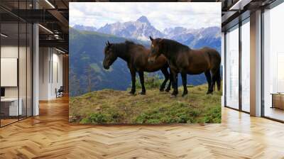 two horses and Sexten Dolomites Wall mural