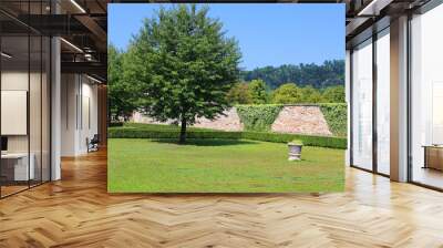 Garden and courtyard in the summer on the site of Red Stone Castle in Slovakia, Europe Wall mural