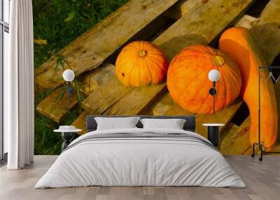 Pumpkins in my garden 2 Wall mural