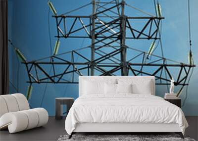 A high voltage power Wall mural