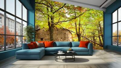 Beautiful forest surrounding an old house Wall mural