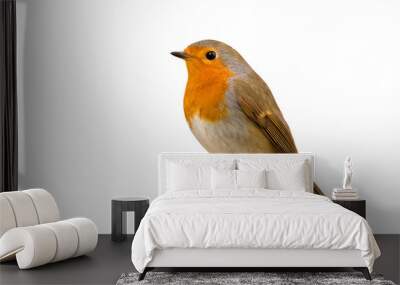 Beautiful small bird Wall mural