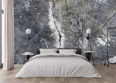 Closeup wooden cut Texture Wall mural