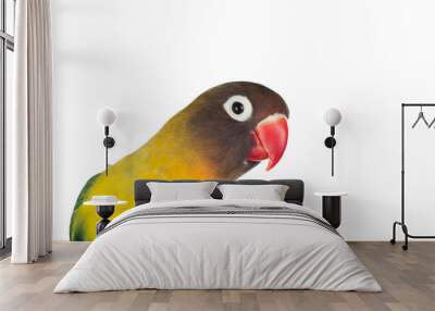 Nice parrot with red beak and yellow and green plumage Wall mural