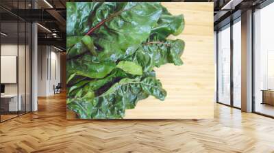 Fresh red chard without cooking Wall mural