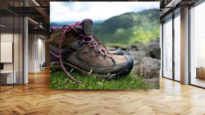 Boots taking a break in the fells Wall mural