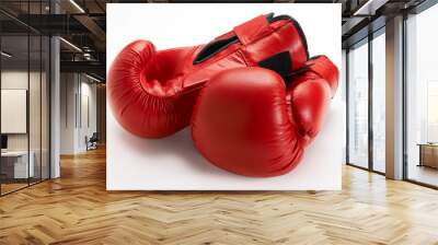 Boxing Gloves Wall mural