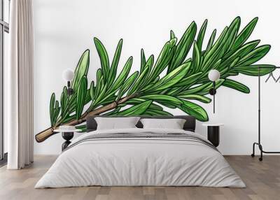 Fresh green rosemary sprig on a white isolated background. Wall mural