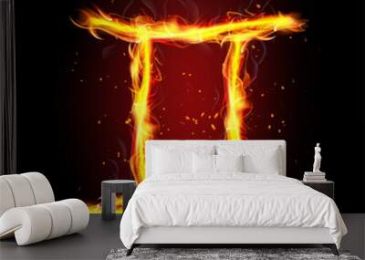 Gemini zodiac in fire and smoke Wall mural