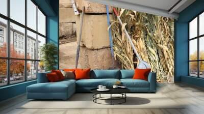 Outdoors at the garden center with shovels. Wall mural