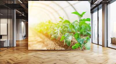 A futuristic greenhouse powered by renewable energy, growing crops in a desert, sustainability, agricultural innovation Wall mural