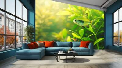 A green beautiful planted tropical freshwater aquarium with fishesA Congo tetra Phenacogrammus interruptus with water plants : Generative AI Wall mural