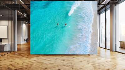 Aerial view quite beach with jus few people enjoy swimming boating along beautiful white sandy turquoise water multiple shades of blue waves along Emerald Coast Seagrove beach Santa Ro : Generative AI Wall mural