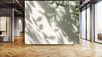 Blurred shadow from leaves plants on the white wall Minimal abstract background for product presentation Spring and summer : Generative AI Wall mural