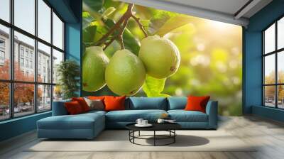 Capture of guavas hanging on the trees branch Hanging guava fruit Close up of guavas  Healthy food concept Guava Ripe Tropical Fruit Guava on Guavas Tree Guava fruit garden Guavas tree : Generative AI Wall mural