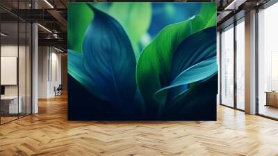 close-up detail macro texture bright blue green leave tropical forest plant spathiphyllum cannifoliu Wall mural