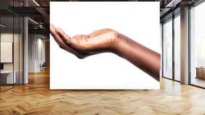 Close up of african american woman hand with palm facing upwards with copy space Woman hand showing empty hand isolated against white background Empty open female palm ready for your b : Generative AI Wall mural