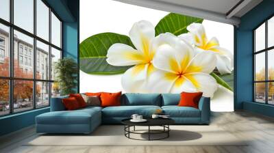 Frangipani flowers with leaves isolated on white : Generative AI Wall mural