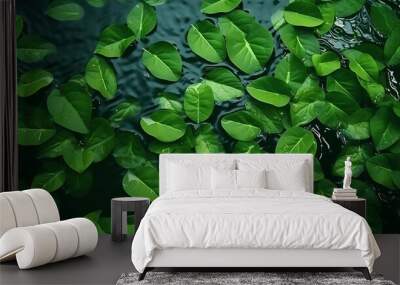 Green leaves on water surface. Beautiful water ripple background for product presentation. Copy space : Generative AI Wall mural