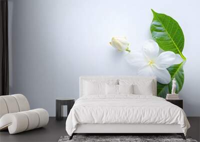 Jasmine flower with green leaf on white background  top view  flat lay : Generative AI Wall mural