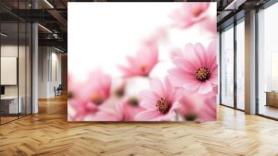 pink daisies on a white isolated background : Generative AI Wall mural