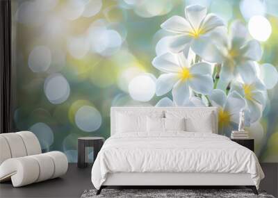 Plumeria flowers on bokeh background beautiful flowers in the garden white flower asian hawaii frangipani flower leelawadee : Generative AI Wall mural