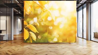 sunlight through leaves on tree image blur bokeh background Background yellow blur beautiful is the bokeh effect nature color autumn time fall  season : Generative AI Wall mural