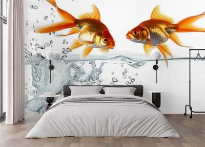 Two Goldfish Jumping Out of the Water with Splash in Background Wall mural