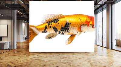 Koi fish isolated on white transparent background png. Generative AI Wall mural