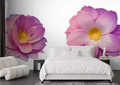 flowers isolated on transparent background, isolated, extracted, png file Wall mural