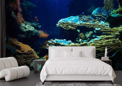 Deep Water Aquarium Underwater Landscape Wall mural