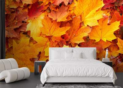 background group autumn orange leaves. Wall mural