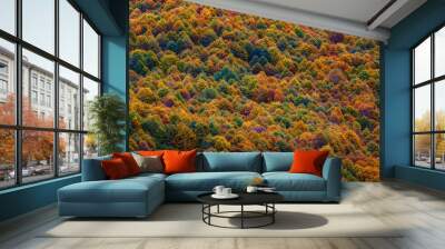 Beech forest in autumn. Brown colors and foliage Wall mural