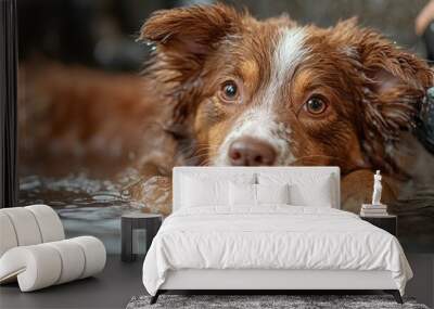 Dog Taking a Bath in a Tub Wall mural