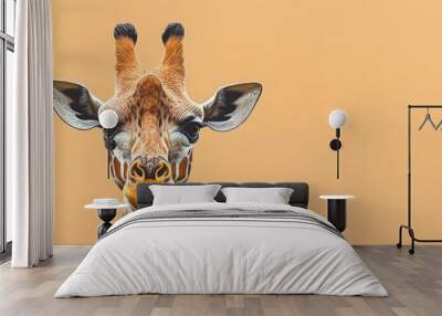 Close up view of a giraffe s head Wall mural