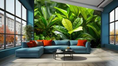 Lush green foliage of tropical pottery plants Wall mural