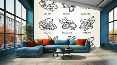 sketch of different kinds of nuts. vector illustration with isolated kernels collection. Wall mural