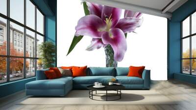 Detailed PNG cutout selection image of Flashpoint purple, pink and white Oriental Trumpet Lily flower blossom closeup  in a crystal vase isolated on a transparent background. Wall mural