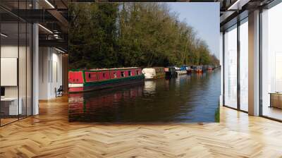 canal Wall mural