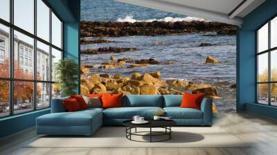 Rocky Coast Wall mural