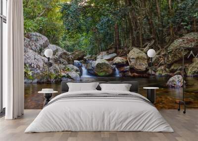 A tropical creek with waterfall runs in rainforest. Tropical wet forest. Cairns (Kamerunga) Far North Queensland, Australia. - Landscape Photography  Wall mural