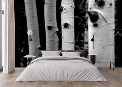 Black and White of Aspen Tree Knots similar to famous photographer of the past. Wall mural