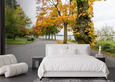 Colorful Autumn Lakeside Trees 4 Wall mural