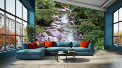 Creek With Clear Water 3 Wall mural