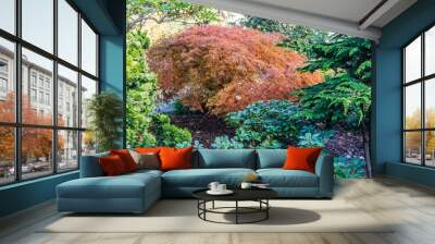 Fall Japanese Maple 2 Wall mural