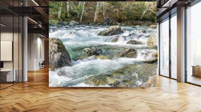 Green River Rapids Landscape 10 Wall mural