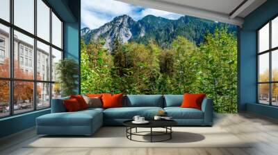 Northwest Mountains And Trees 3 Wall mural