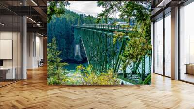 Scenic Washington Brdige Wall mural