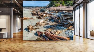 West Beach Driftwood 2 Wall mural