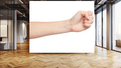 Female hand isolated on white background Wall mural